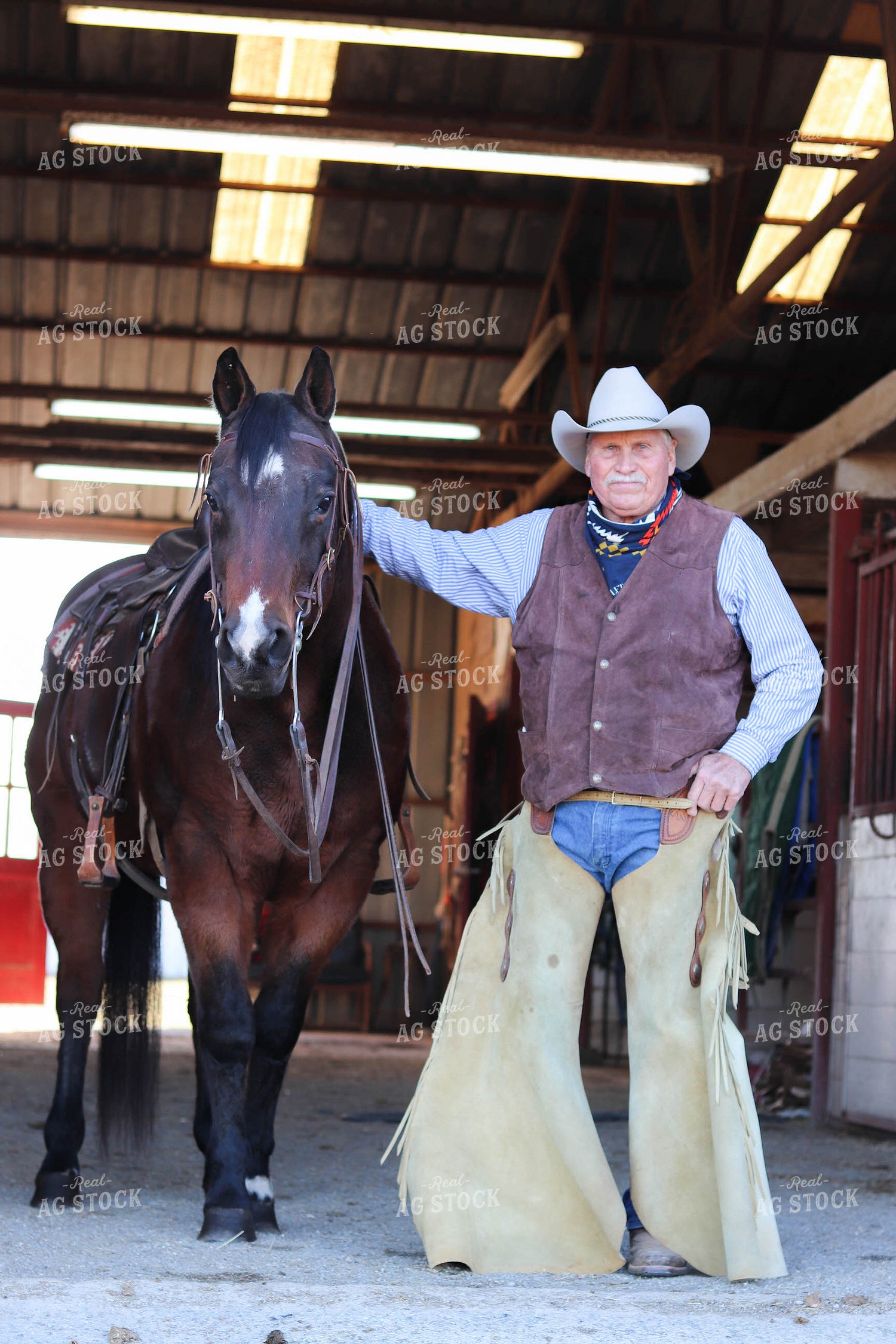 Rancher with Horse 256015