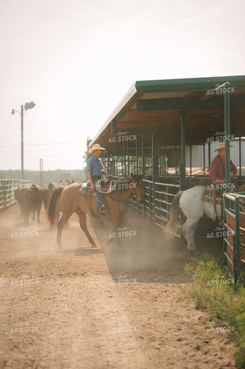 Ranchers Ride Horses in Feedyard 125145
