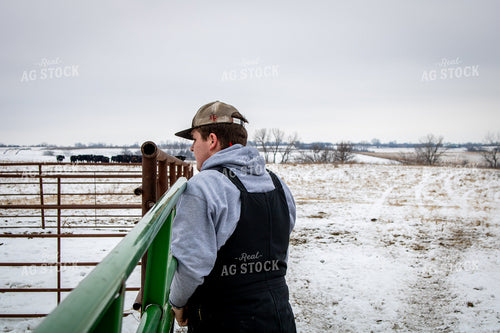 Farmer Opening Cattle Gate 214098