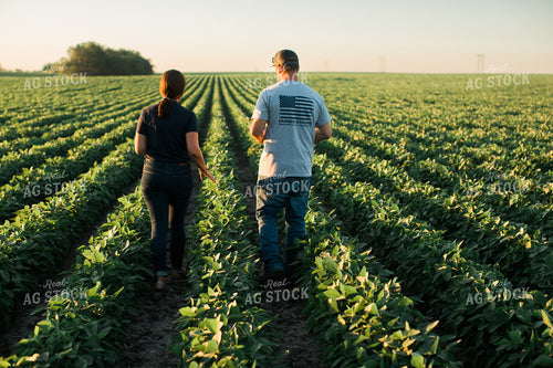 Agronomist and Farmer Scouting Soybean Field 6112