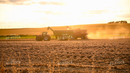 Combine Unloading Soybeans into Auger Wagon on the Go 25731