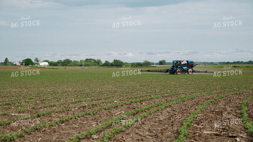 Self-Propelled Sprayer Applying Crop Protection on Early-Season Field 401000