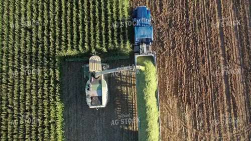 Chopping Corn Silage Drone 56325