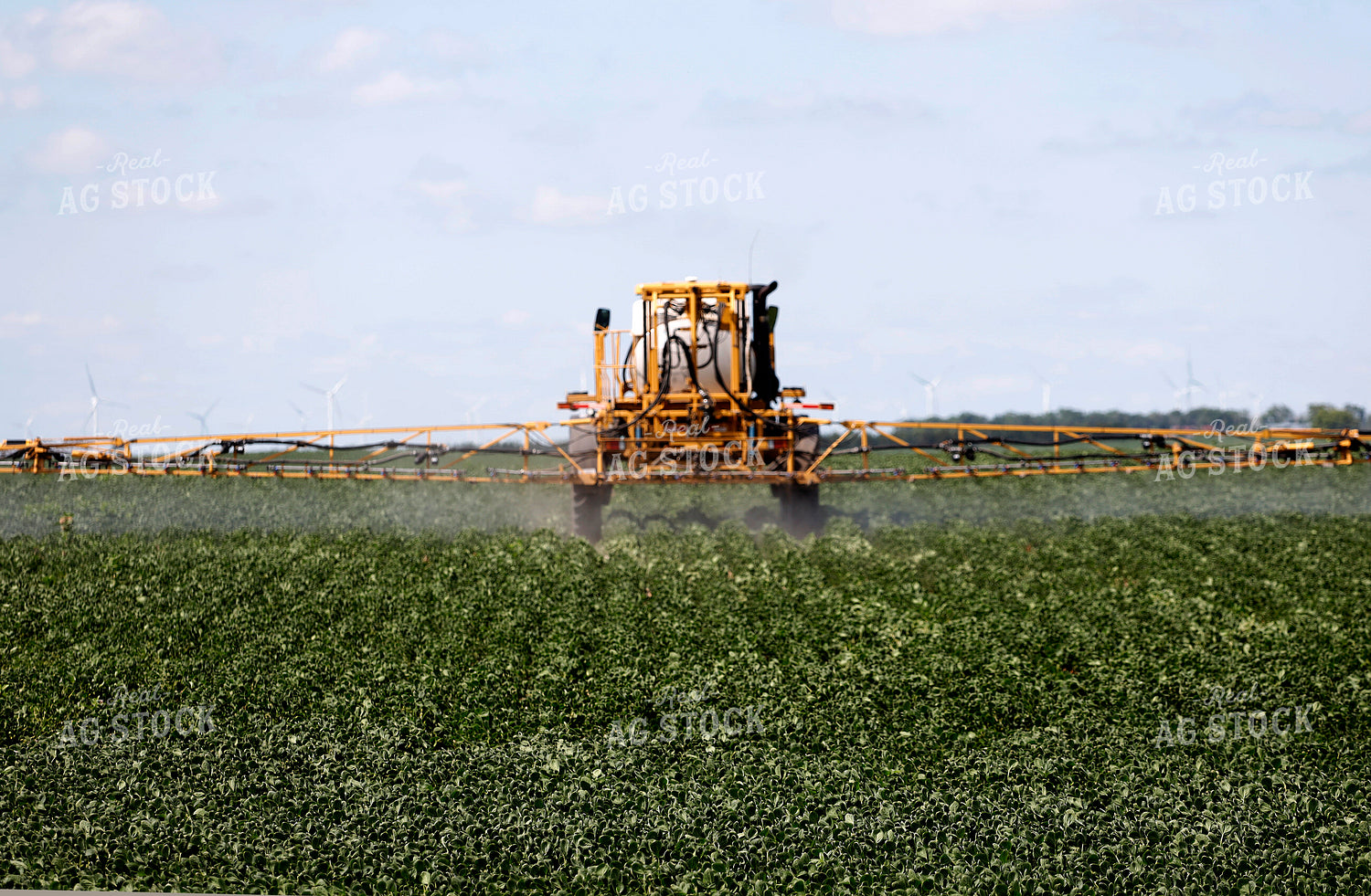 Spraying Soybean Field 141601