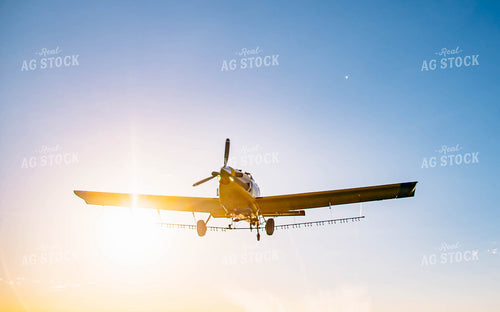 Crop Duster 218023