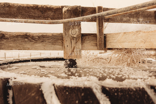 Water Trough Frozen Over 61161