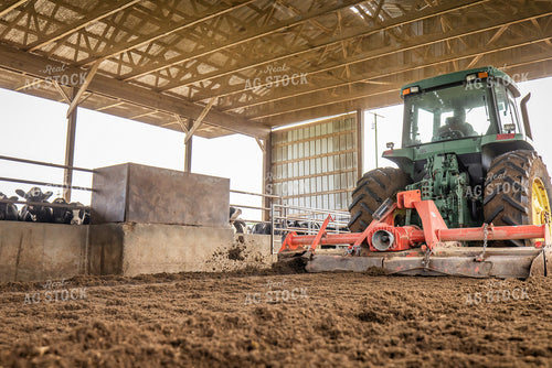 Laying Compost Bedding in Dairy Barn 270056