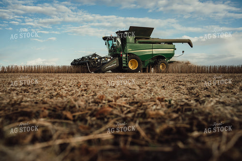 Combine Harvesting Soybeans 3529