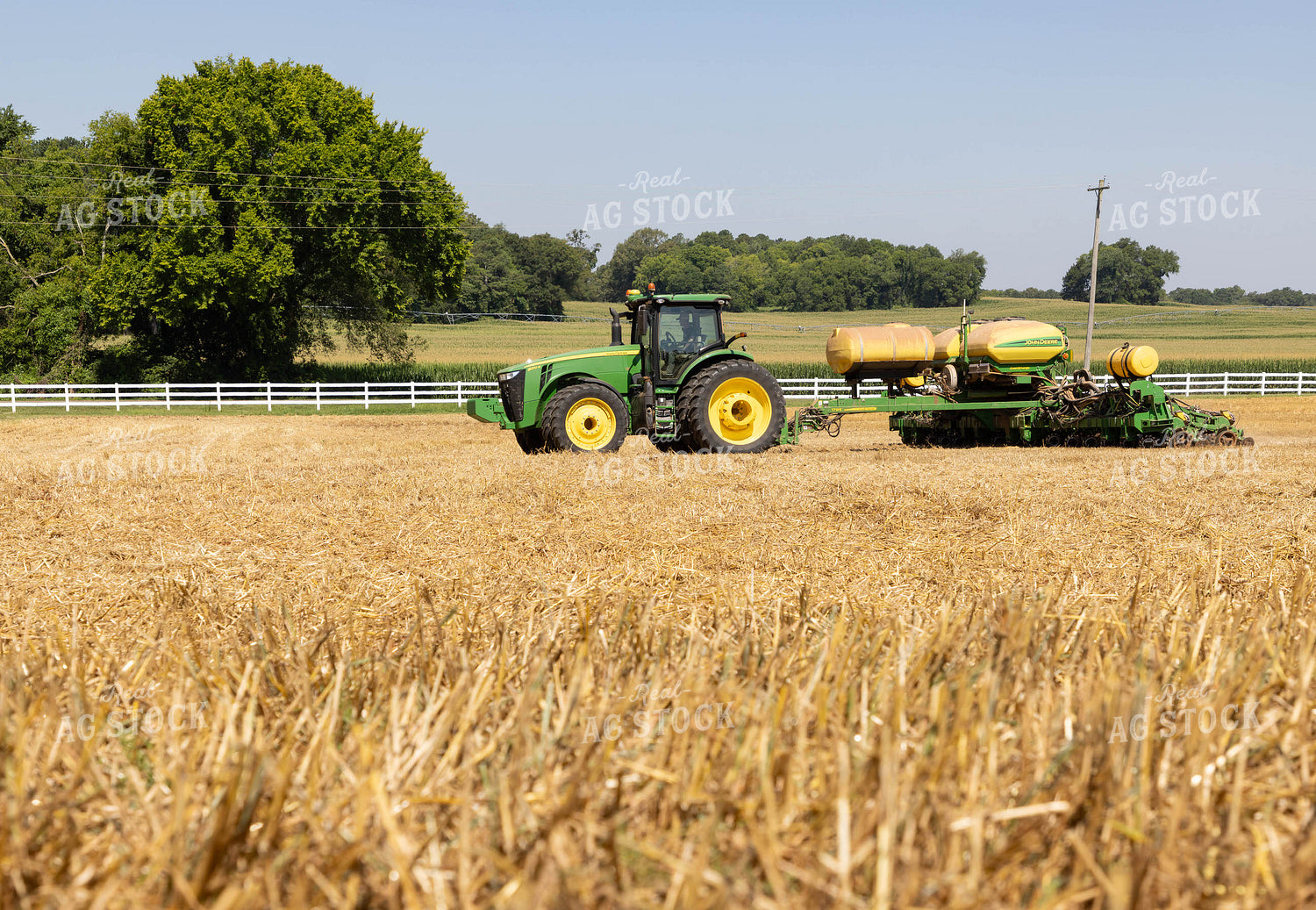 Planting into Cut Wheat 79666
