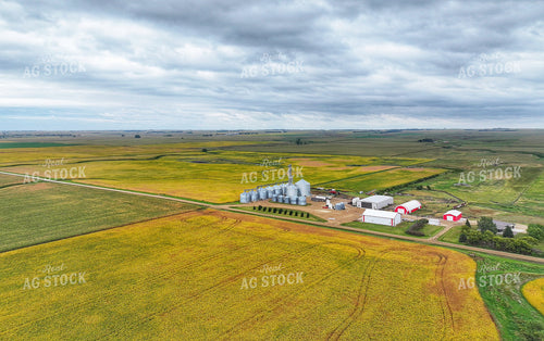 Scenic Farmland 141435
