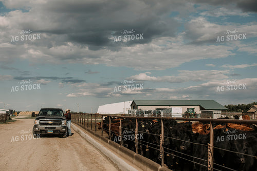 Feedyard 3020