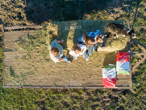 Overhead of Farm Family on Hay Wagon 122041