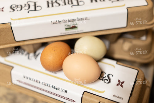 Eggs 295035