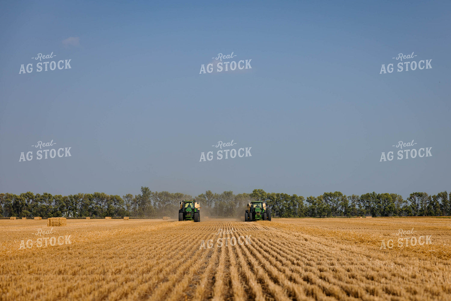 Baling Straw Bales 152339
