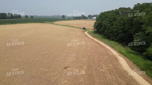Wheat Harvest 115191