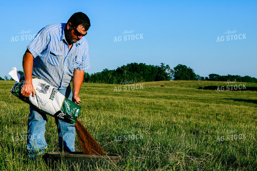 Farmer Filling Mineral Tub in Pasture 214045