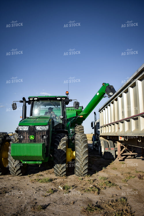 Grain Cart Augering Corn into Semi 56180