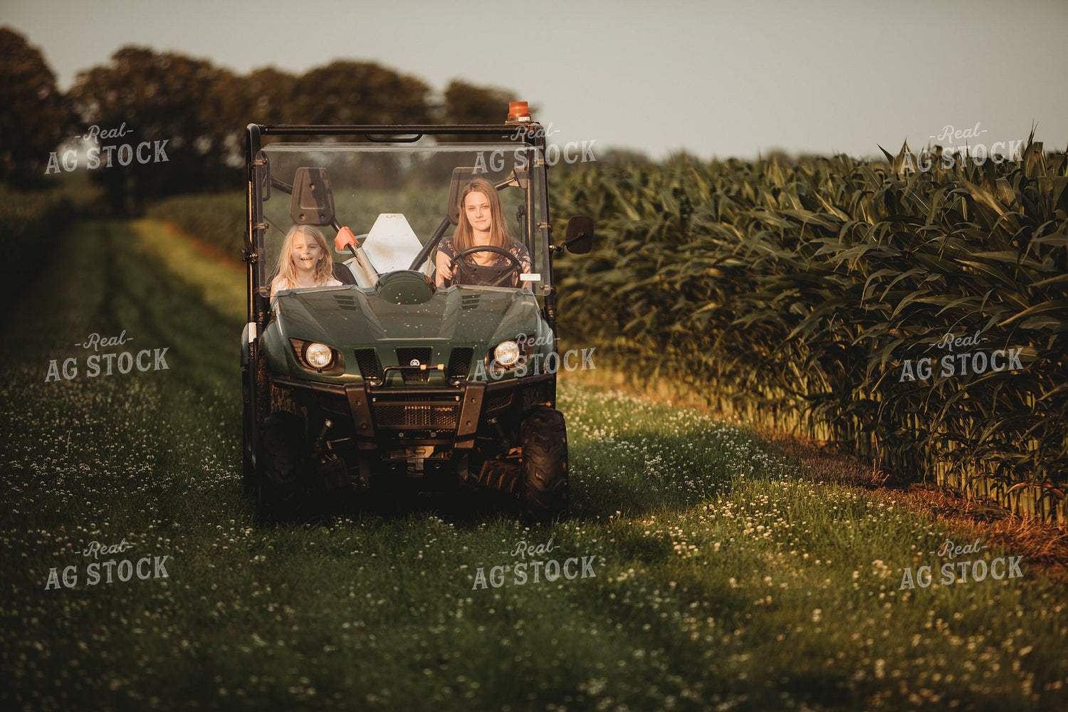 Farm Kids in UTV Alongside Corn Fields 4554
