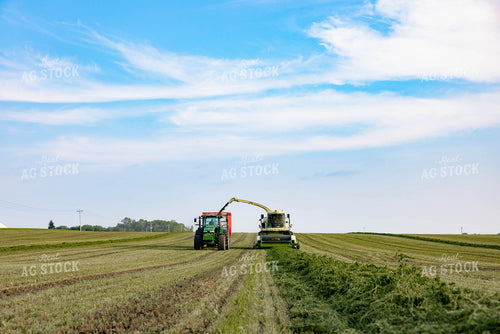 Chopping Silage 152003