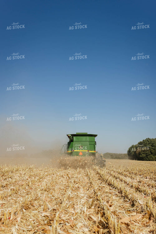 Corn Harvest 152642