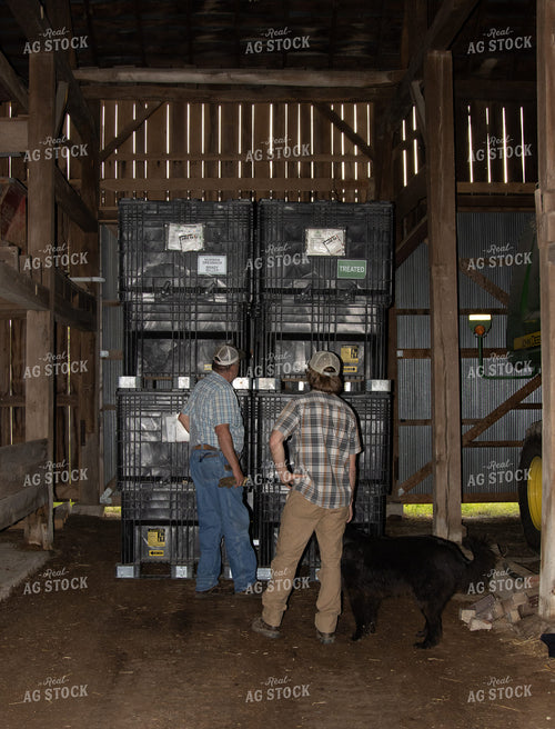 Farmers with Bulk Seed Boxes 52108