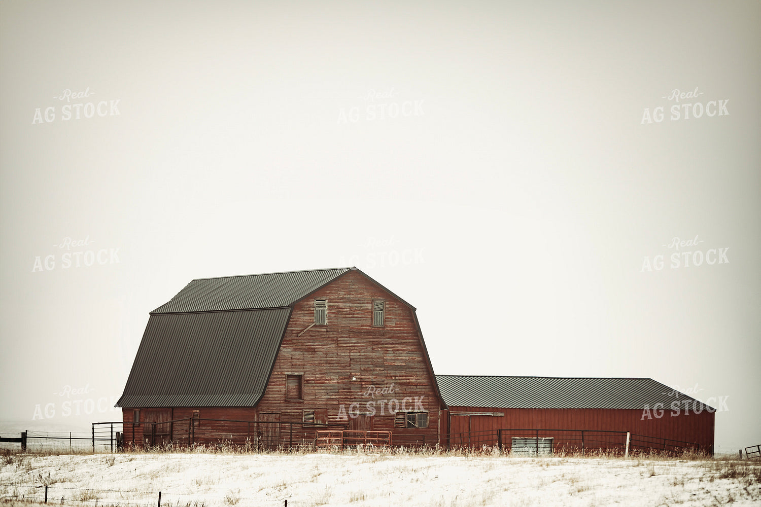Snowy Red Barn 285071