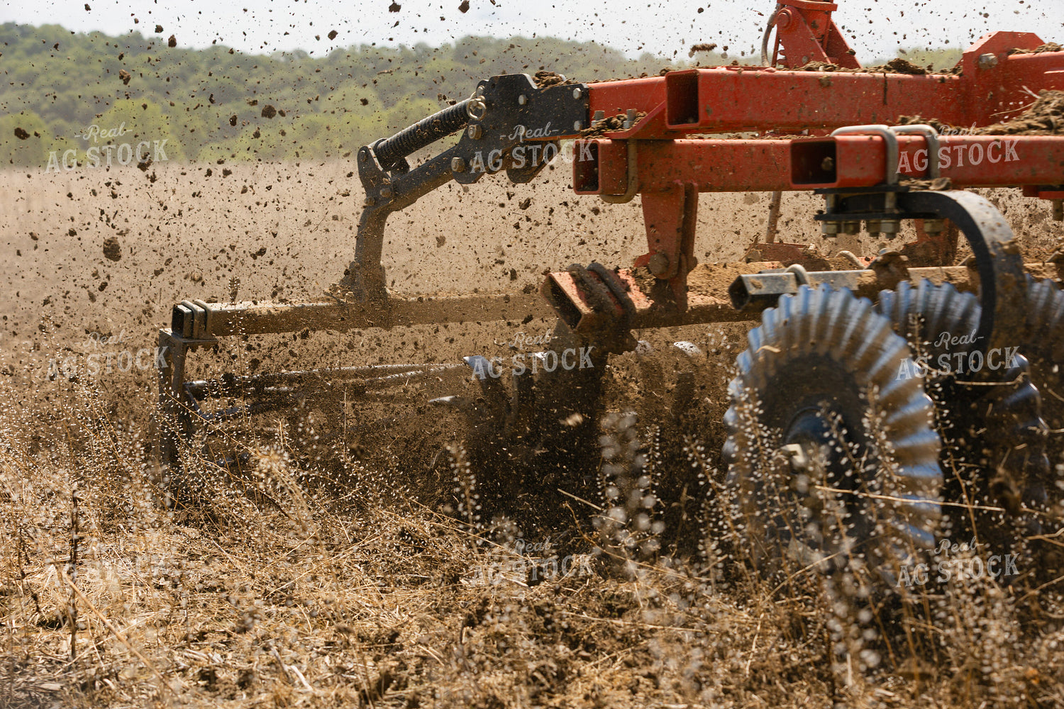 Vertical Tillage 295052