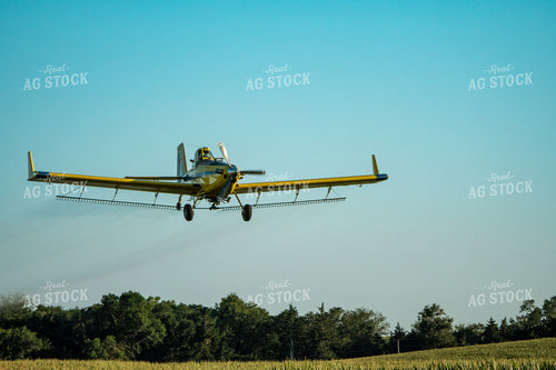 Crop Duster Spraying Corn 65045