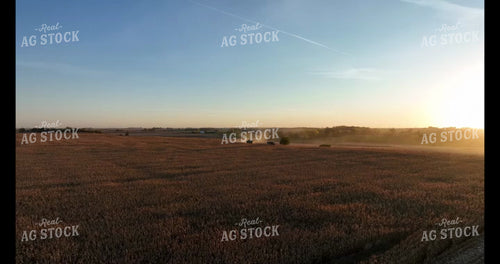 Moving Cattle 274051
