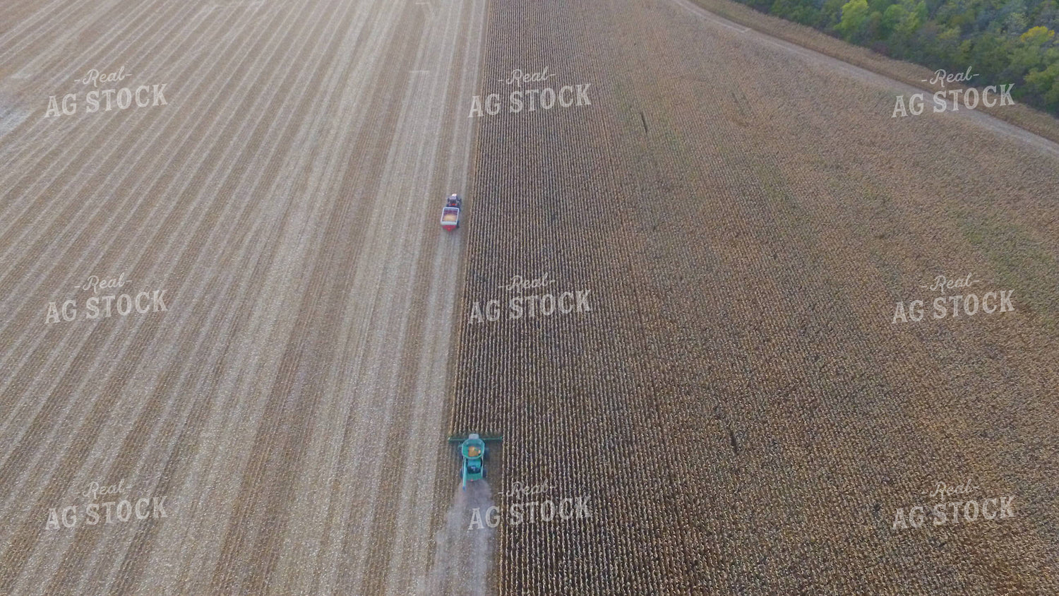 Aerial Corn Harvest 85046