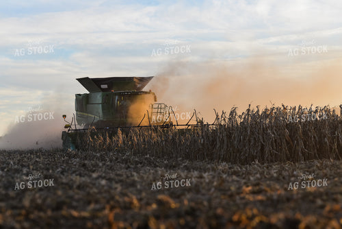 Corn Harvest 151007