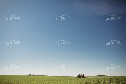 Spraying Soybeans 4386