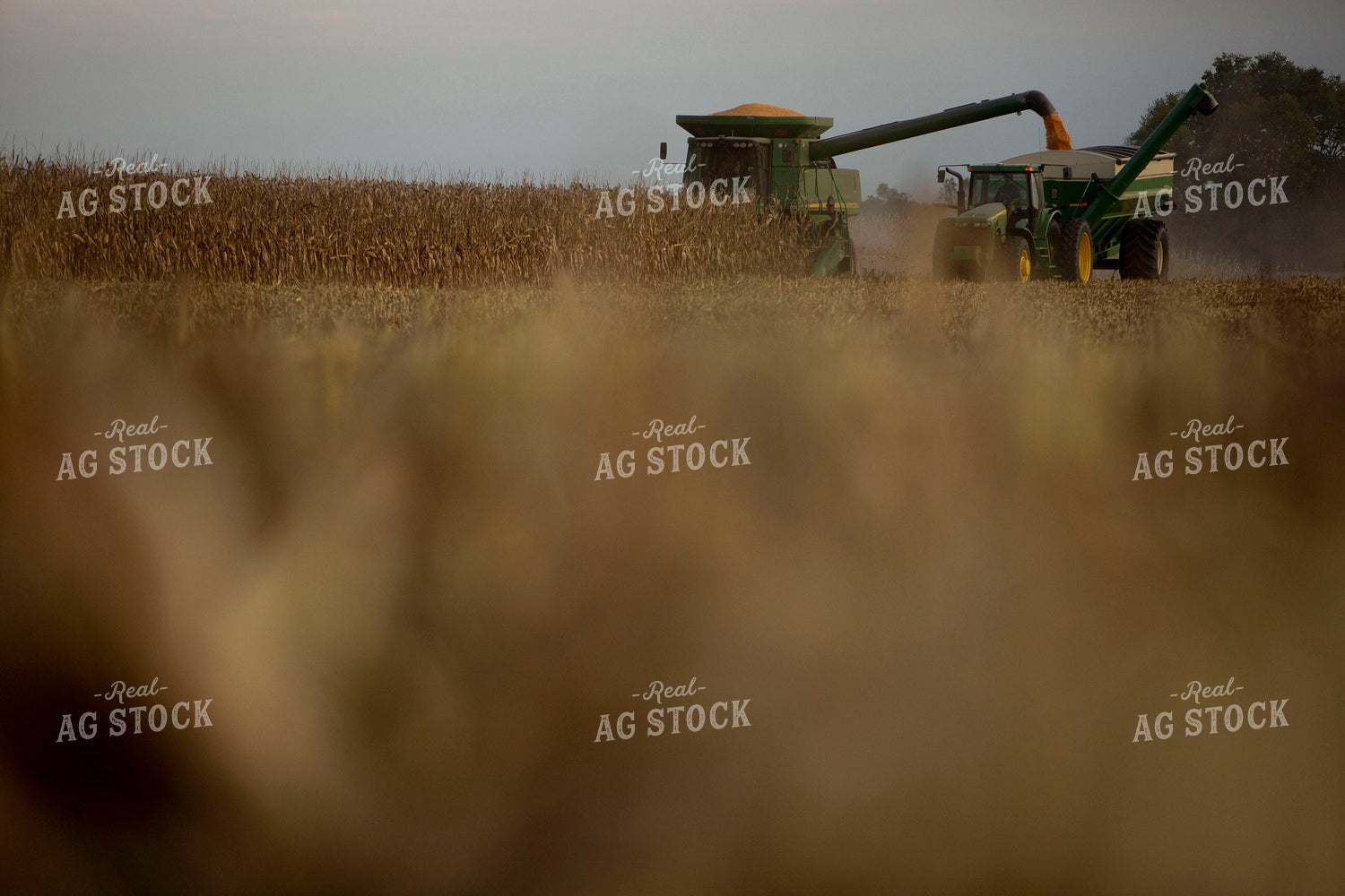 Harvest 1731