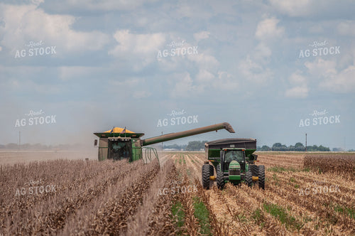 Combine Unloading into Grain Cart 59013