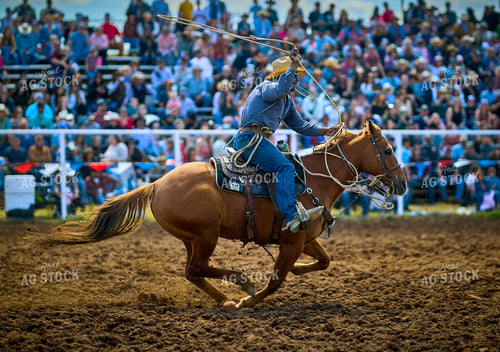 Rodeo 177029