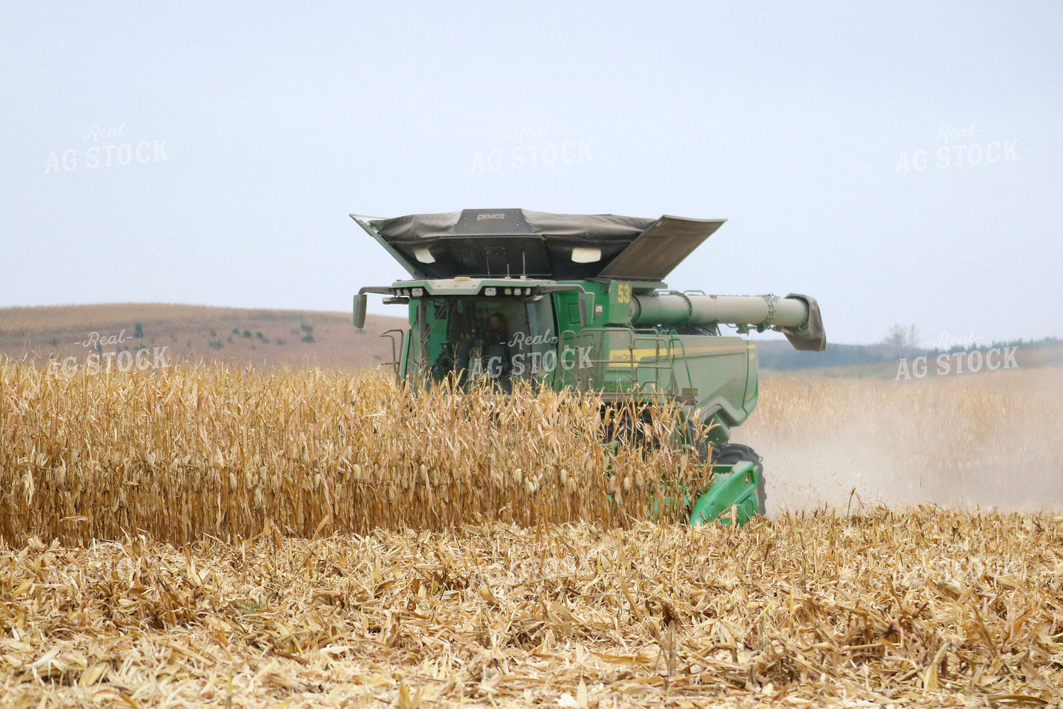 Corn Harvest 82329