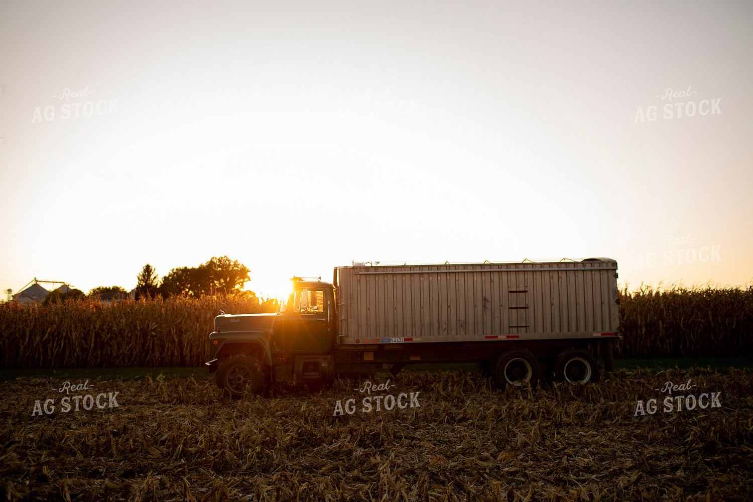 Harvest 2533
