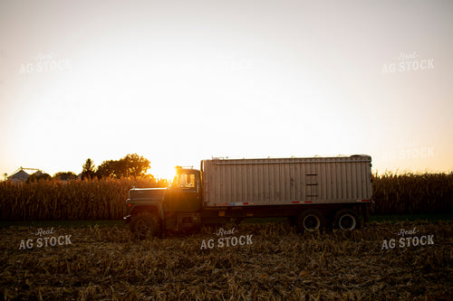 Harvest 2533