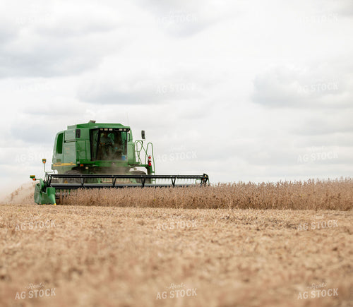 Soybean Harvest 157022