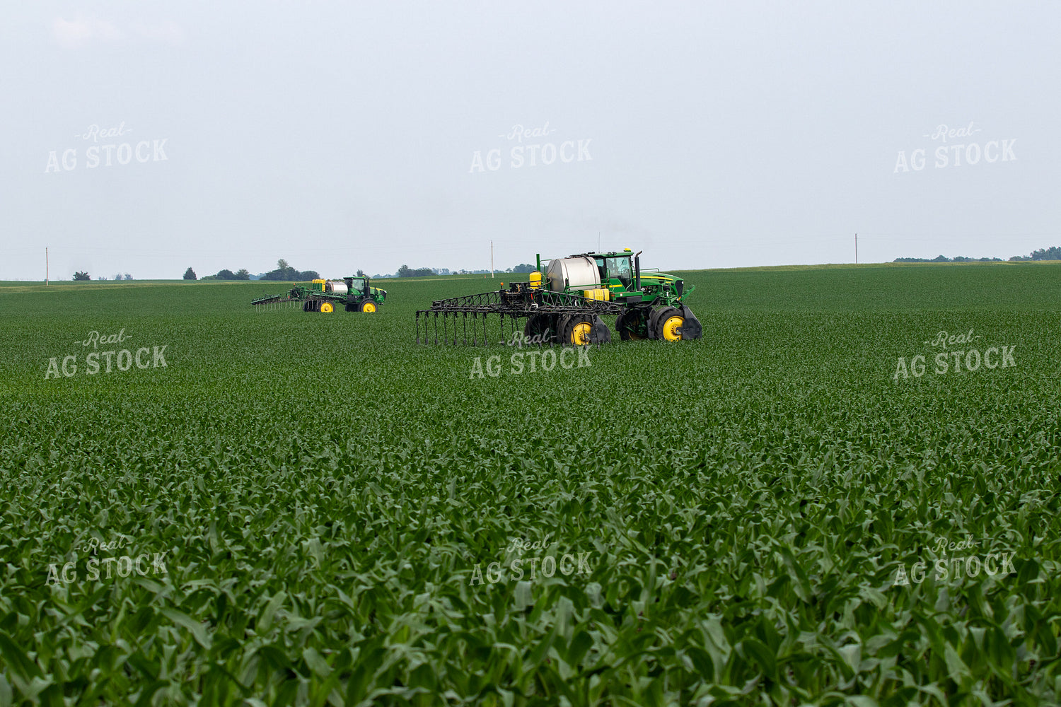 Spraying Corn 257027