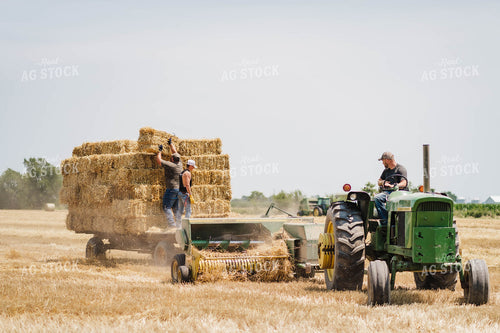 Baling Hay 115000