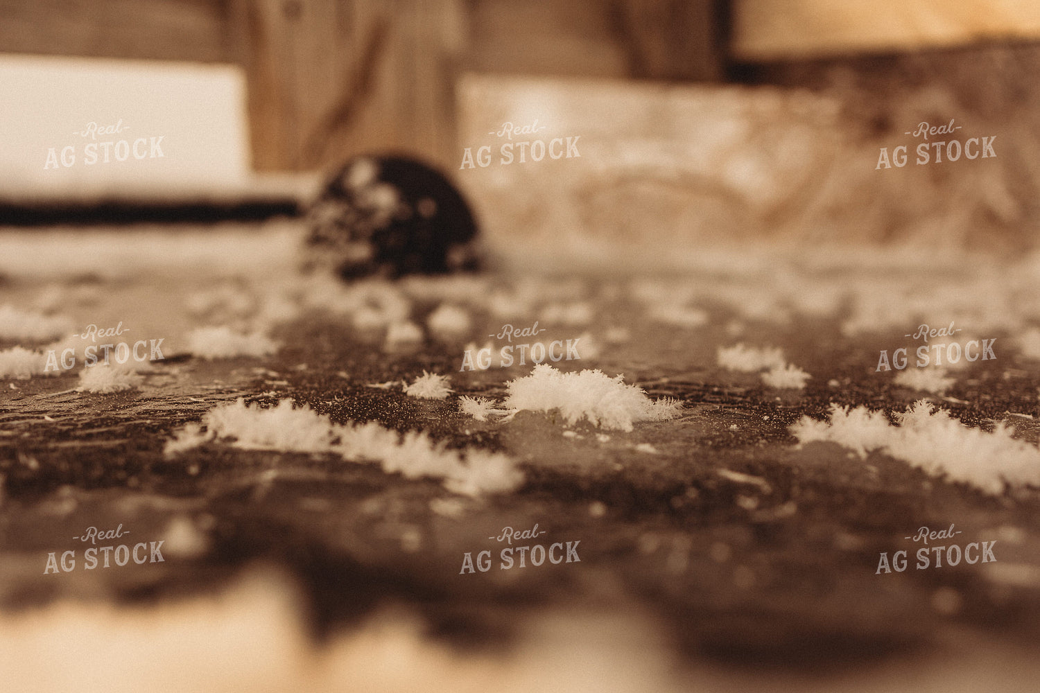 Water Trough Frozen Over 61162