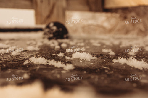 Water Trough Frozen Over 61162