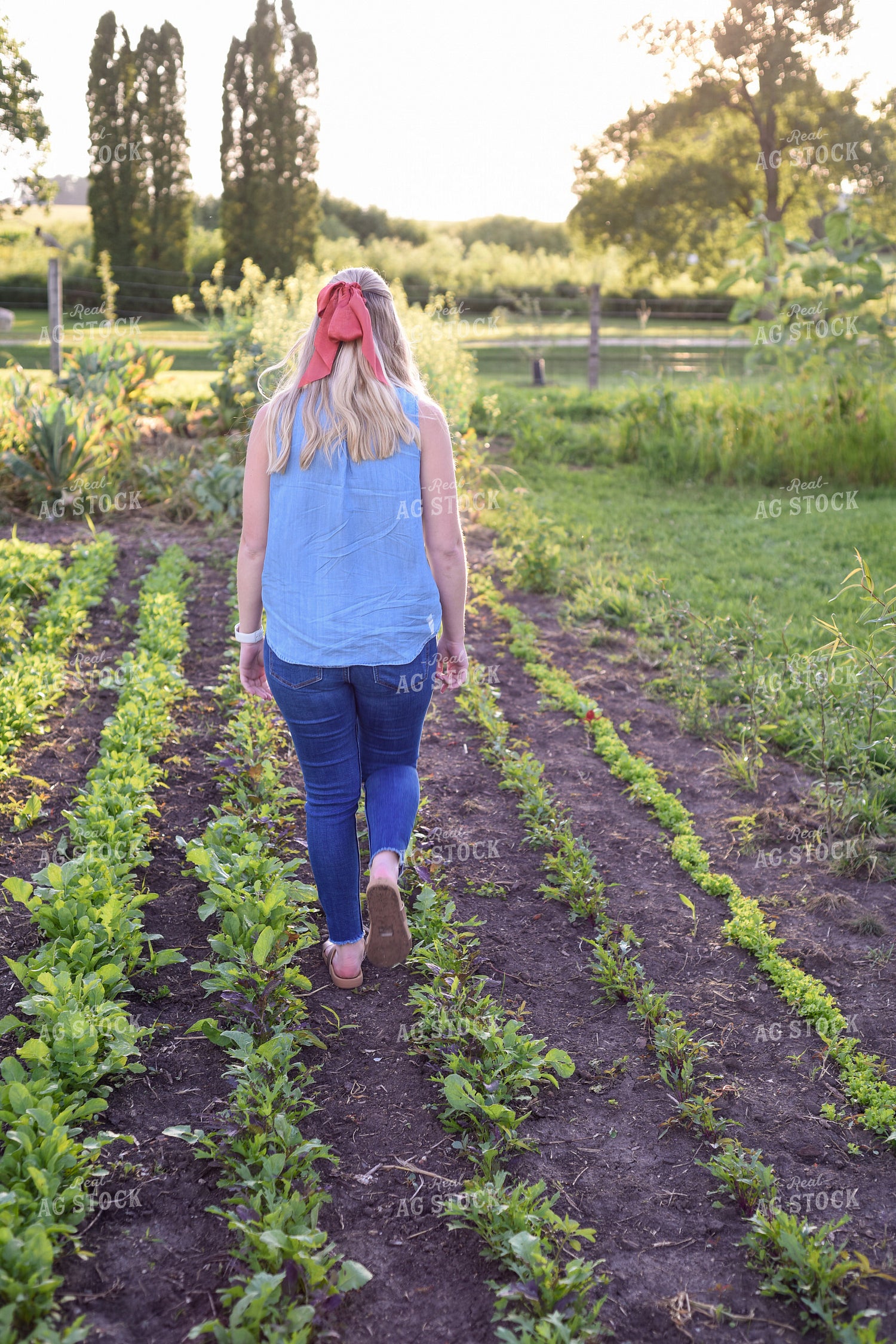 Farmer Walking in Field 129008