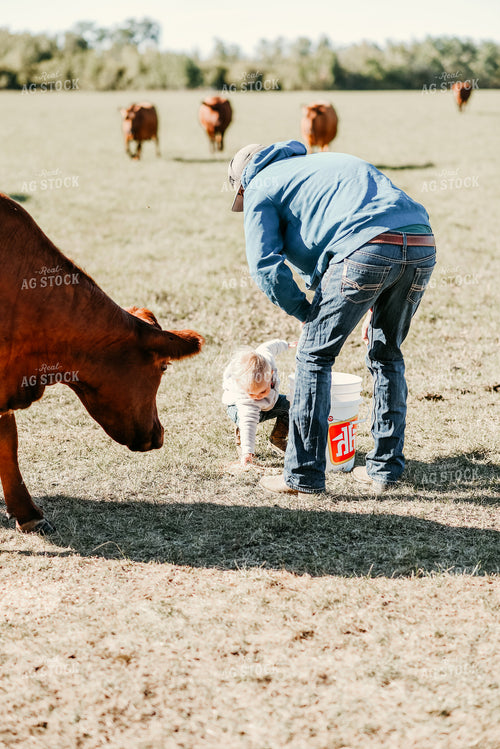 Farm Kid and Rancher in Cattle Pasture 64170