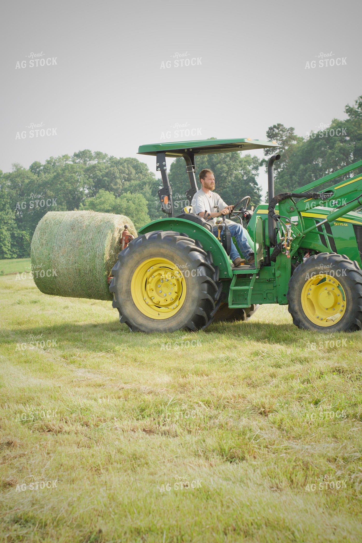 Putting Up Hay 251156