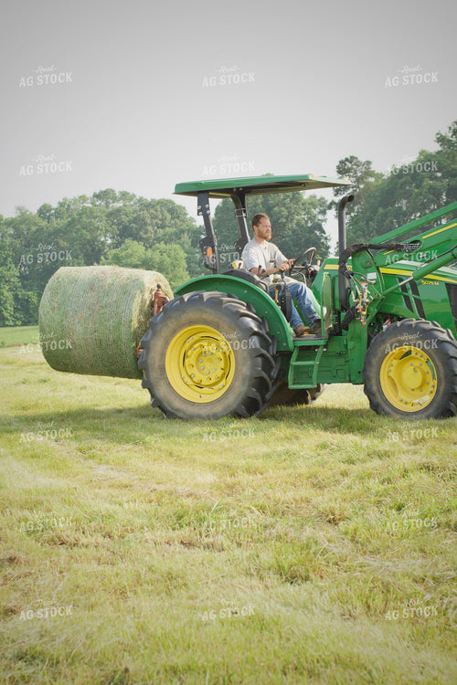 Putting Up Hay 251156