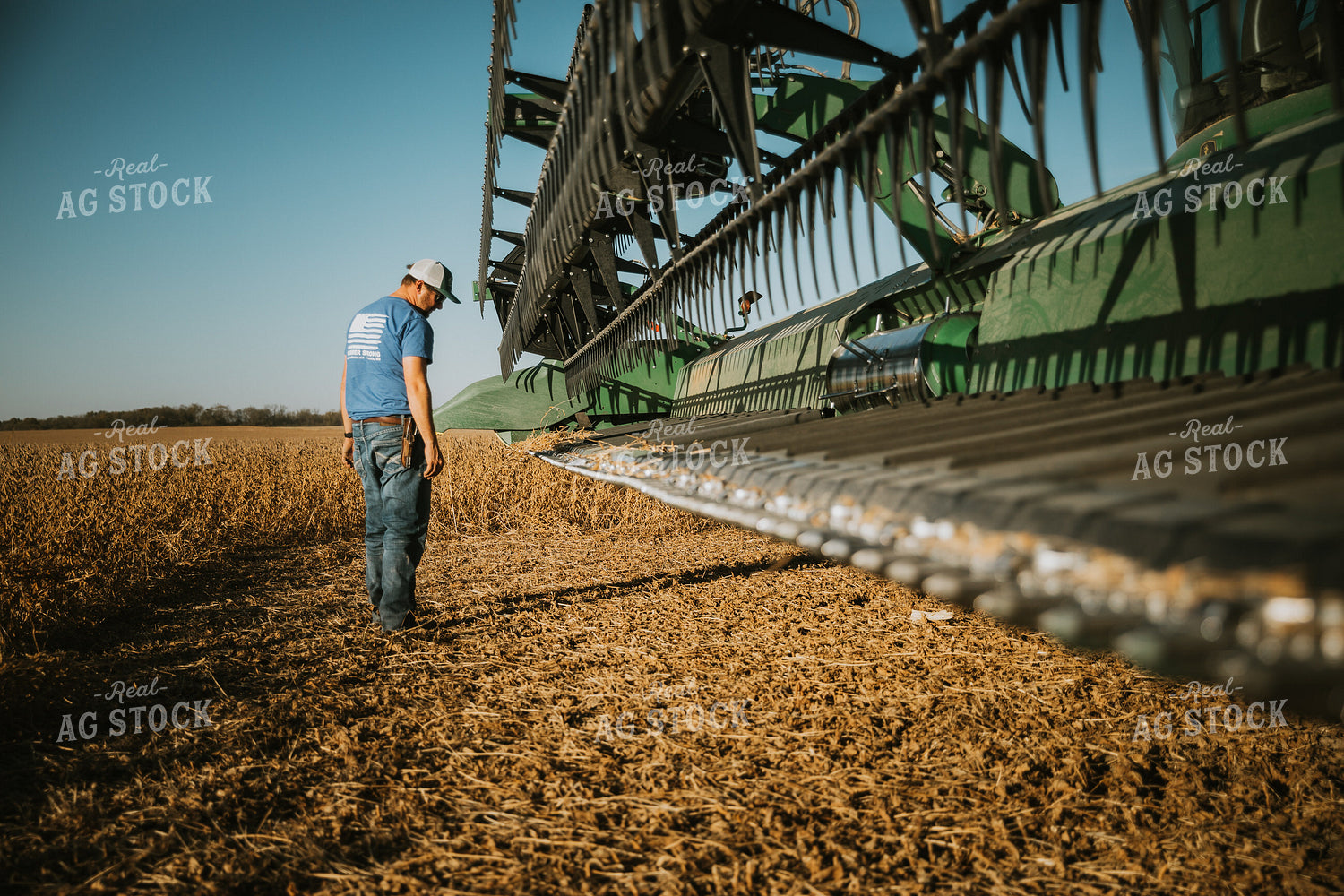 Farmer Inspecting Combine Head 7125