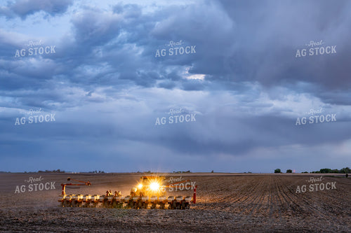 Planting 302046