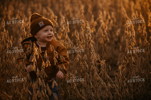 Harvest 2643